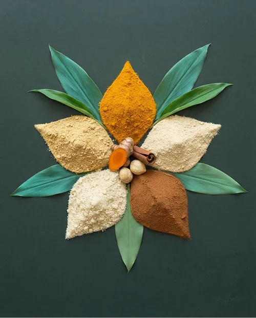 Five spice powders — turmeric, ginger, galangal, candlenut and cinnamon — arranged as lotus petals on a natural surface, seen from above